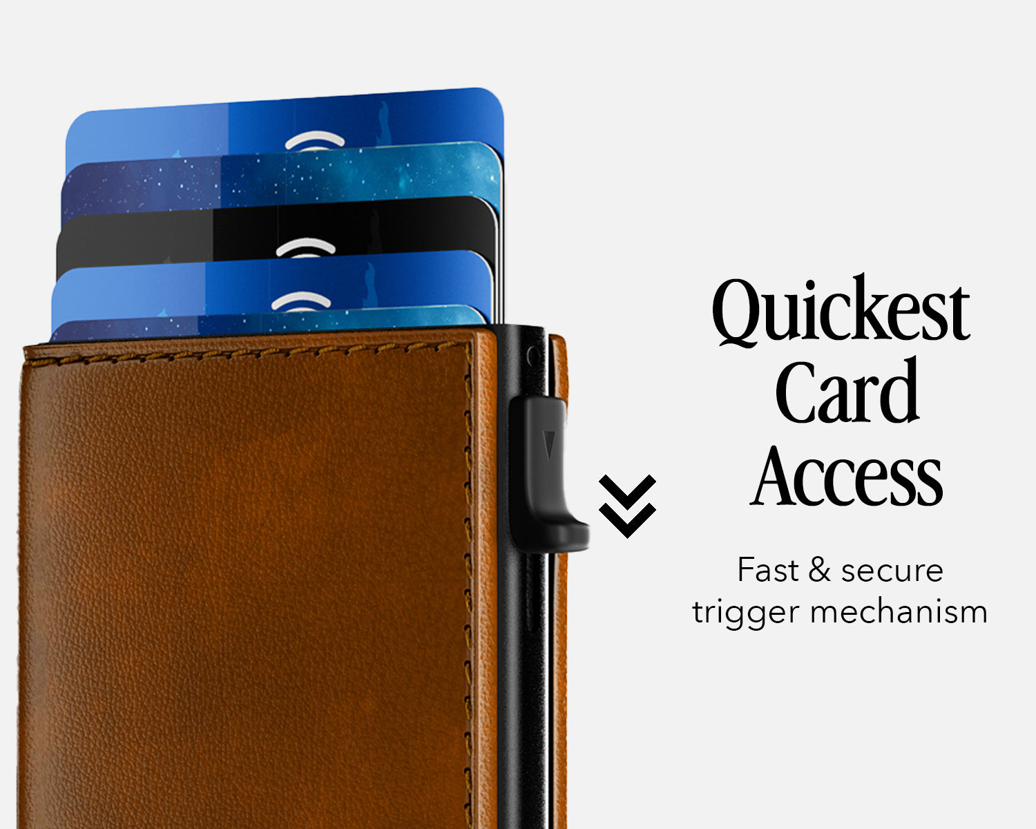 Bifold Edition