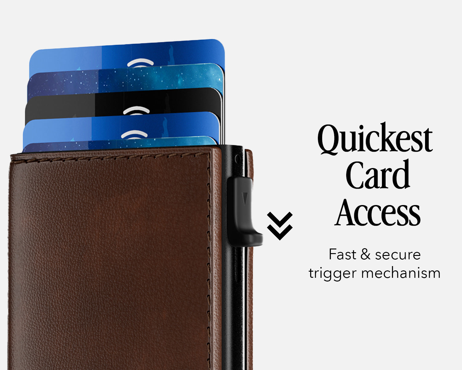 Bifold Edition